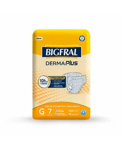 BIGFRAL REGULAR PLUS ABS 20UN (8)